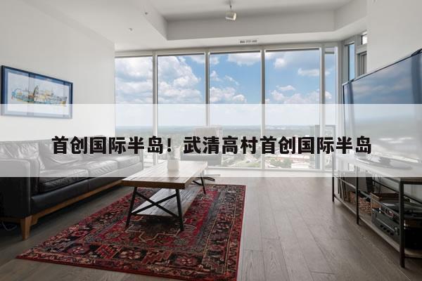 首创国际半岛!武清高村首创国际半岛